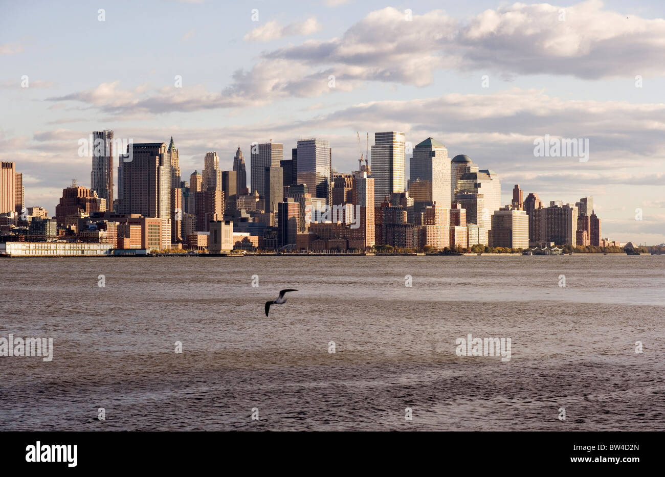 Eine Möwe im Vordergrund fliegt über den Hudson River. Die Innenstadt von New York City liegt auf dem jenseitigen Ufer des Flusses. Stockfoto