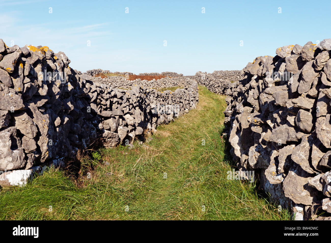 Eine grüne Gasse auf Inis Meain, Aran-Inseln, County Galway, Connaught, Irland. Stockfoto