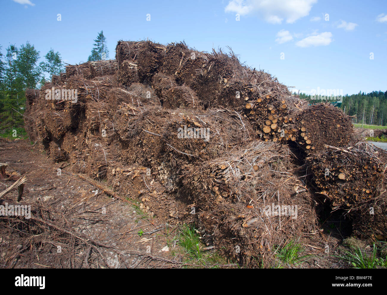 Energie Holz (hiebreste) von klaren Bereich schneiden gesammelt und später in Kraftwerken verbrannt, Finnland Stockfoto