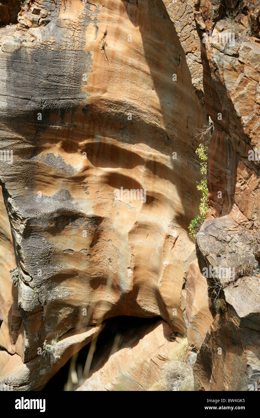 Bourke Luck Potholes, Blyde Canyon, Mpumalanga, Südafrika. Stockfoto