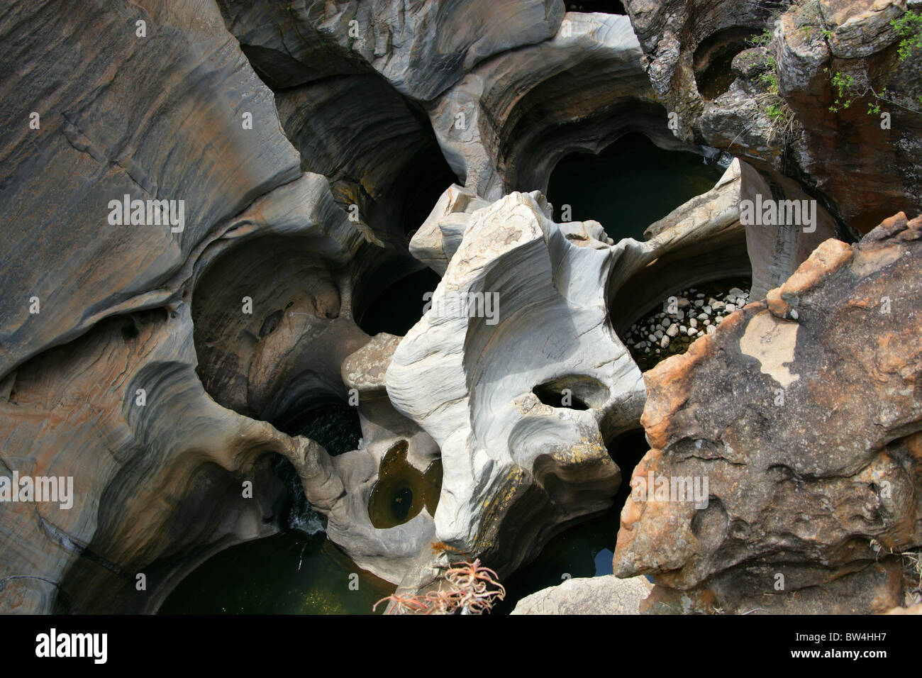 Bourke Luck Potholes, Blyde Canyon, Mpumalanga, Südafrika. Stockfoto