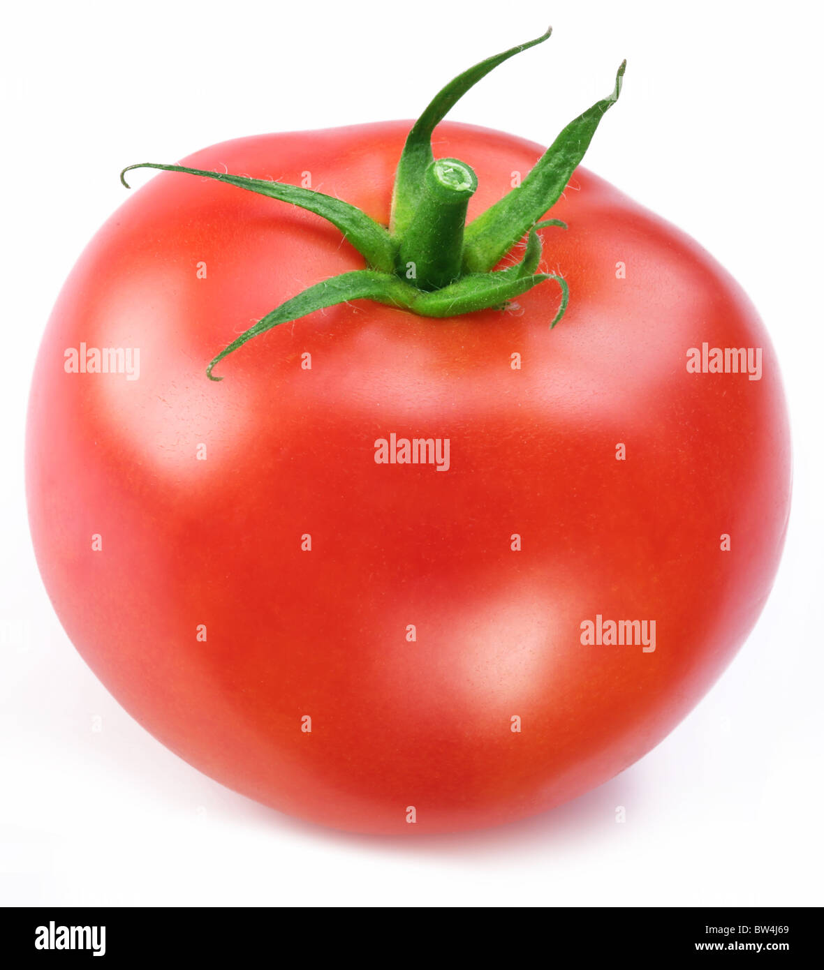 Reife rote Tomaten. Makroaufnahme Studio isoliert. Stockfoto