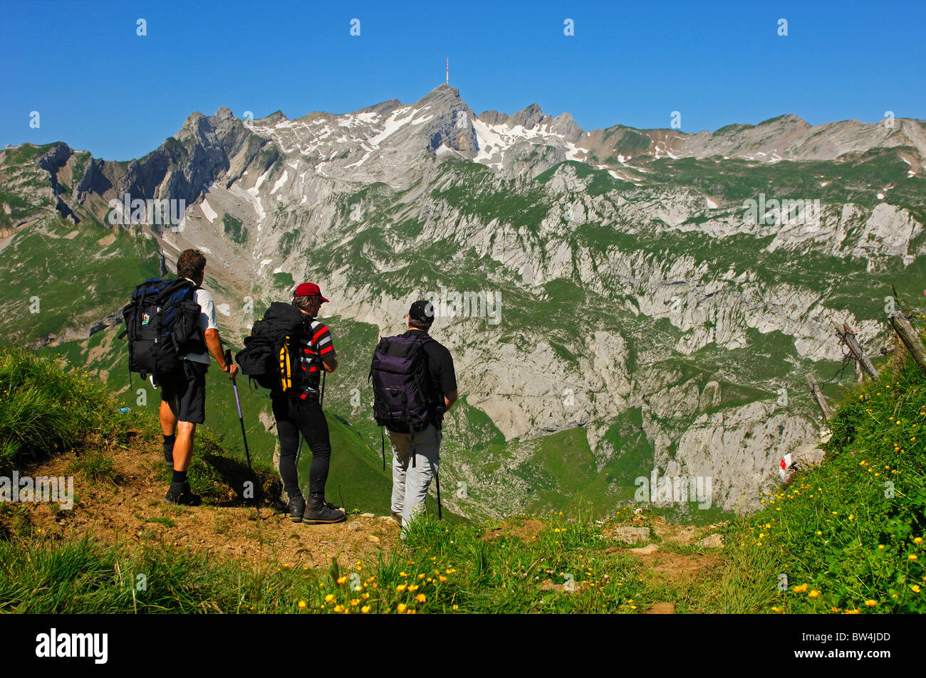 Drei Hikeres Blick auf Mt. Säntis, Alpstein Bergkette, Kanton Appenzell Rhodes, Innerschweiz Stockfoto