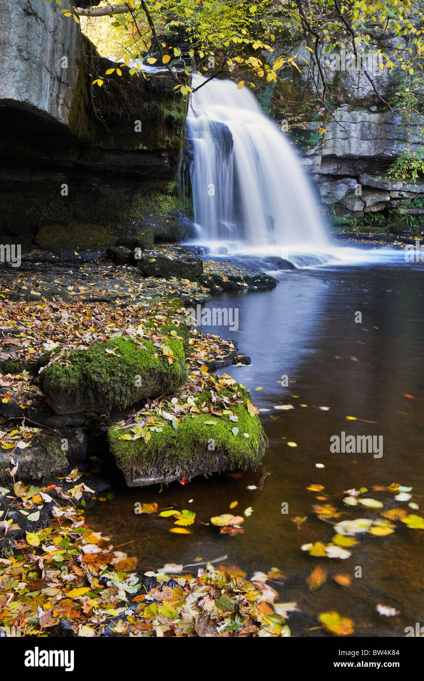 Die wichtigsten Kaskade im Westen Burton verliebt sich in Wensleydale, Yorkshire Stockfoto