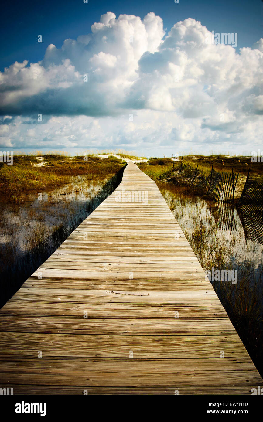 Holzsteg über Feuchtgebiete, führt zu einem Strand. Golfküste, Florida. Stockfoto