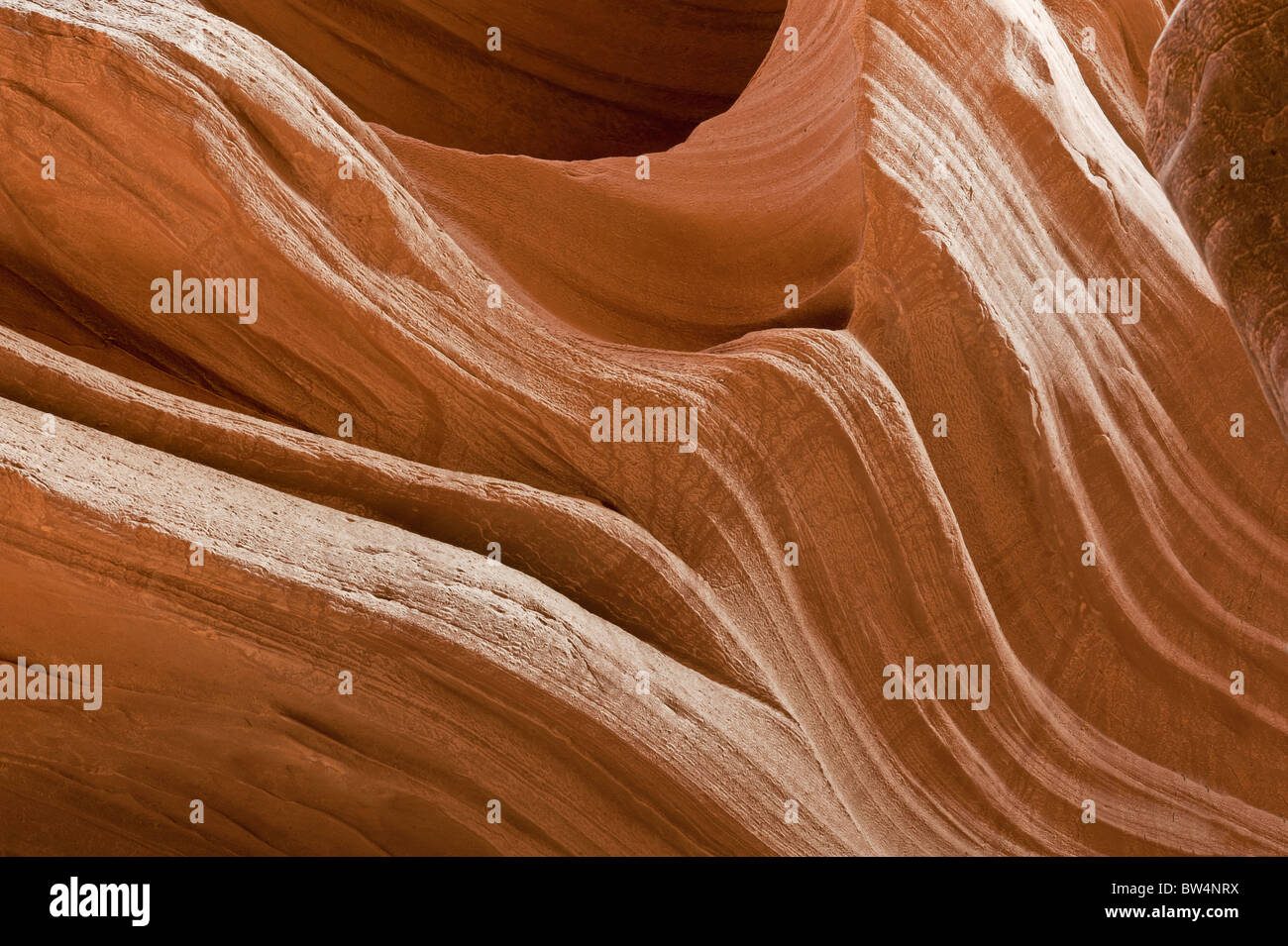 Detail von der Wasser-Erosion im Navajo Sandstein Antelope Canyon Seite Arizona USA Stockfoto