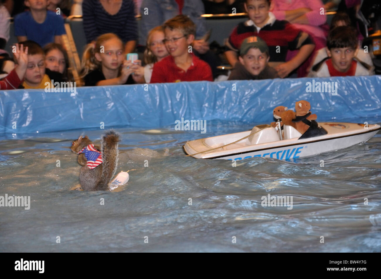 Twiggy Das Wasserski Eichhornchen Stockfotografie Alamy