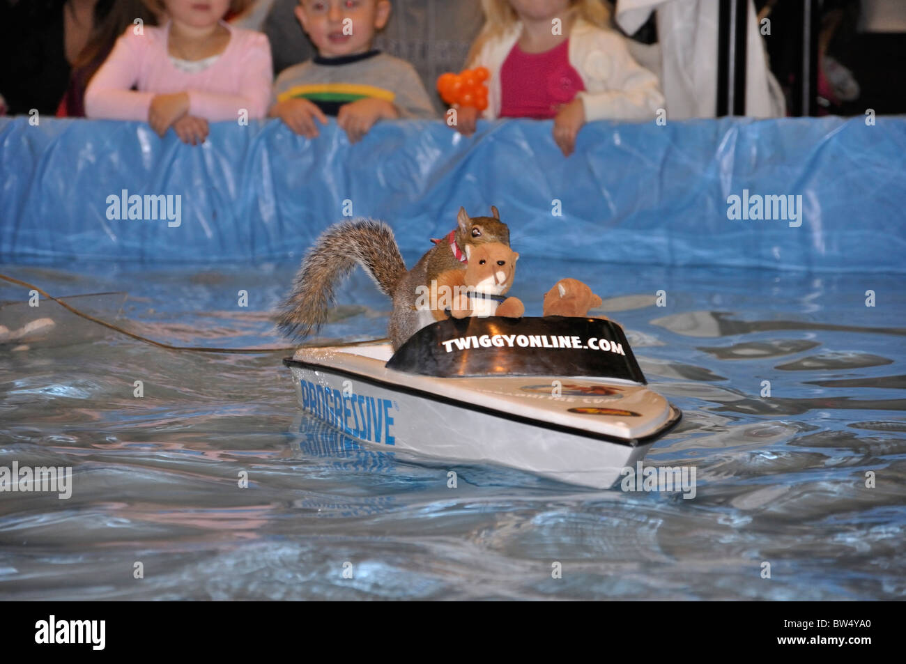 Twiggy Das Wasserski Eichhornchen Stockfotografie Alamy