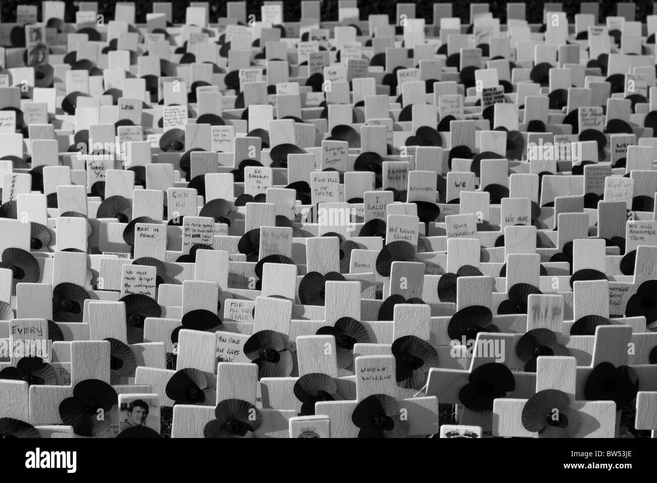 Walled Garden of Remembrance Stockfoto