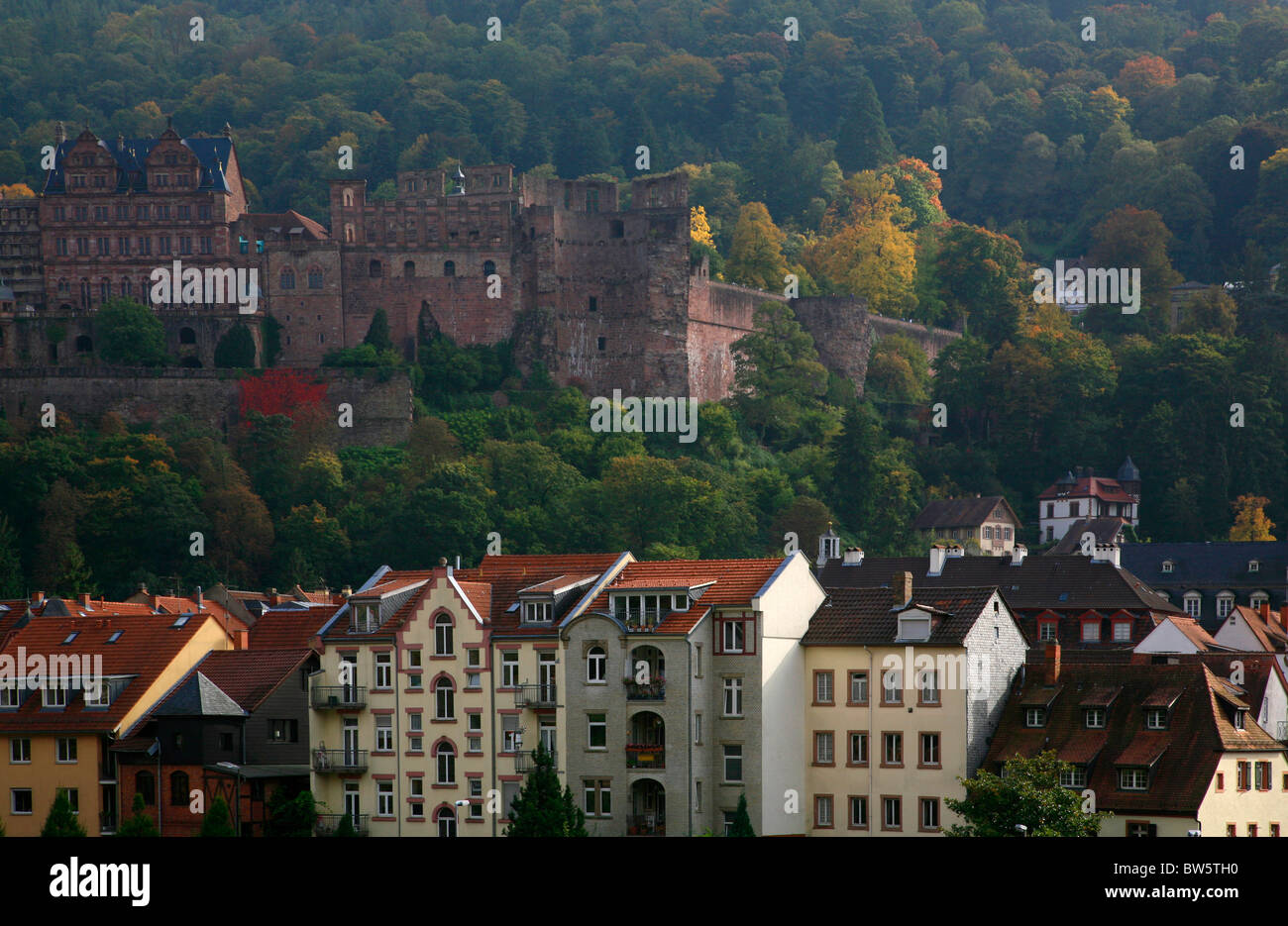 Häuser unter Heidelberger Schloss. Stockfoto