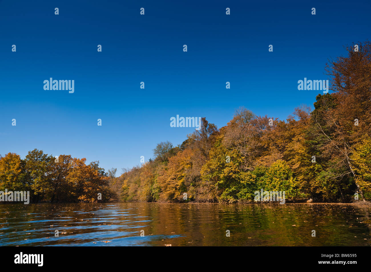 Überflutet, bunten Herbstwald unter blauem Himmel. Hochwasser in Slowenien Stockfoto