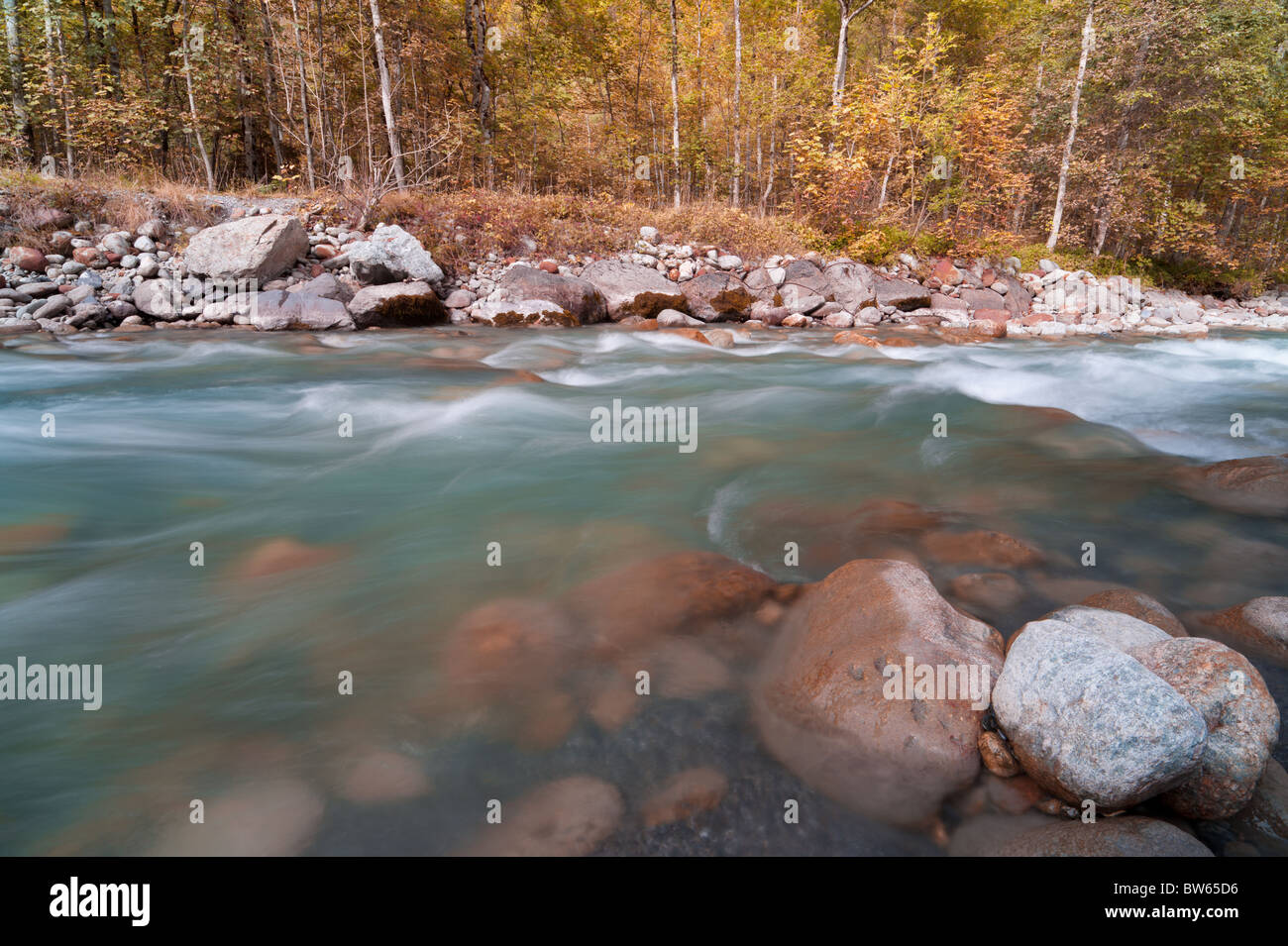 Herbstlichen Wald und Fluss Stockfoto