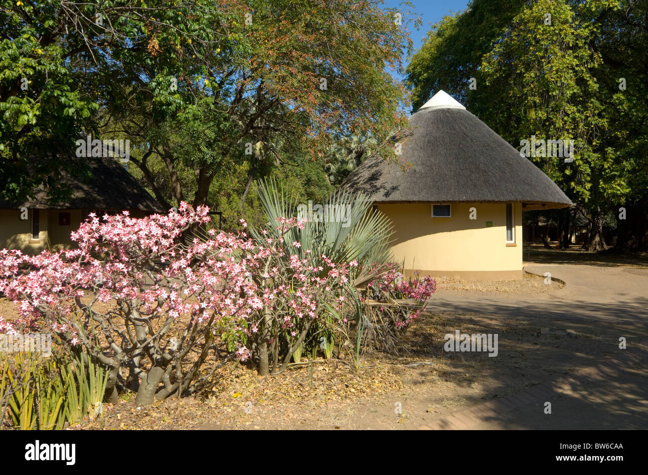 Letaba Rest Camp Kruger Nationalpark in Südafrika Stockfoto