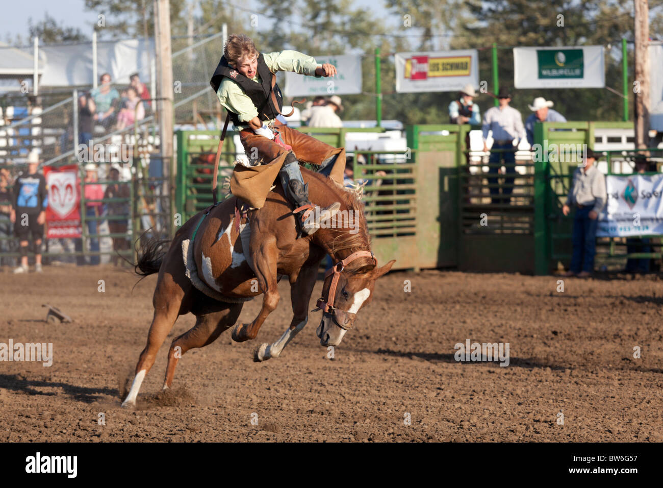 Rodeo im Benton County Fair, Corvallis, Oregon, USA 2009 Stockfoto