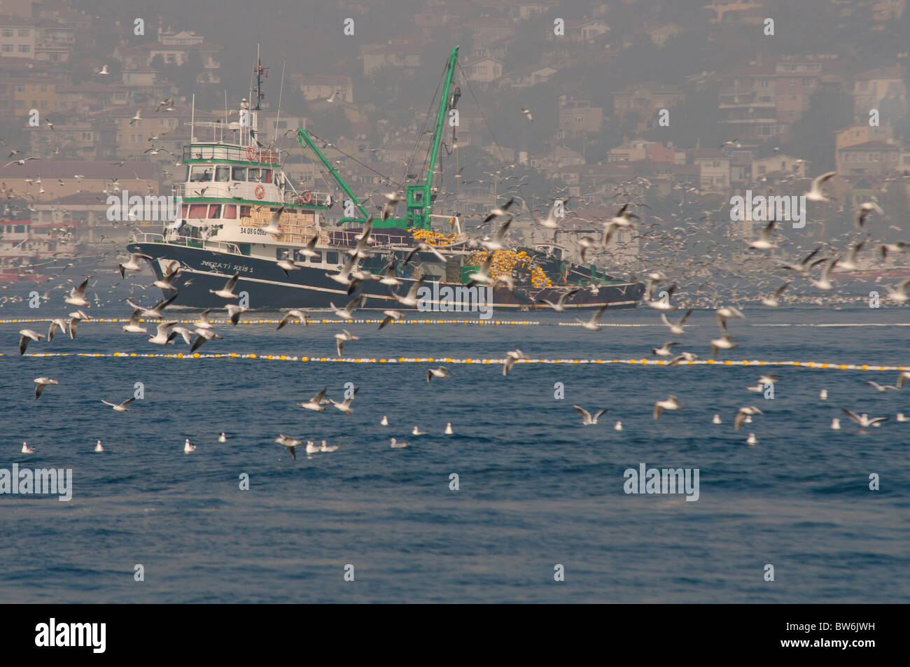 Angeln-Schiff mit den Möwen am Bosporus, Istanbul, Türkei Stockfoto