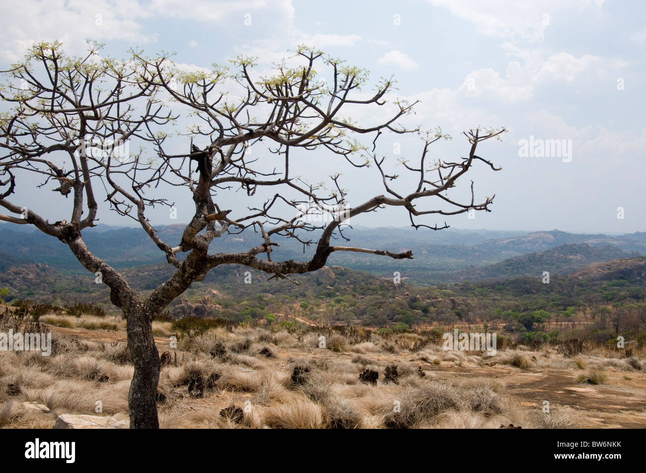 Landschaft nahe dem Grab von Cecil Rhodes bei Weltbild in den Matopos Hügeln, westlichen Simbabwe Stockfoto