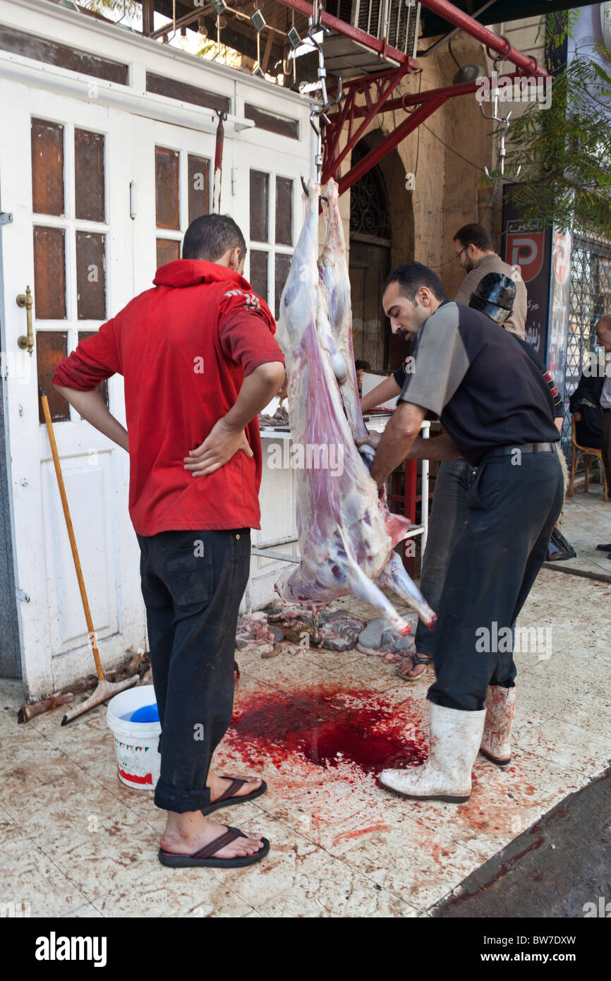 Mann, die Schlachten von geschlachteter Schafen auf Straße, Eid al-Adha, Kairo Ägypten Stockfoto