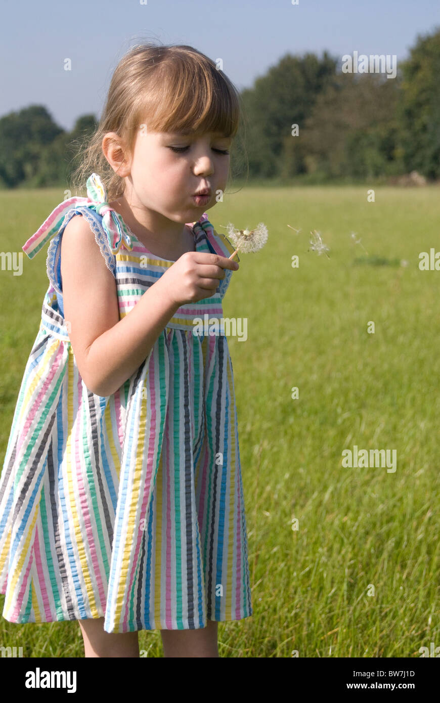 Kleines Mädchen bläst auf einem Löwenzahn Uhr in einem Feld Stockfoto