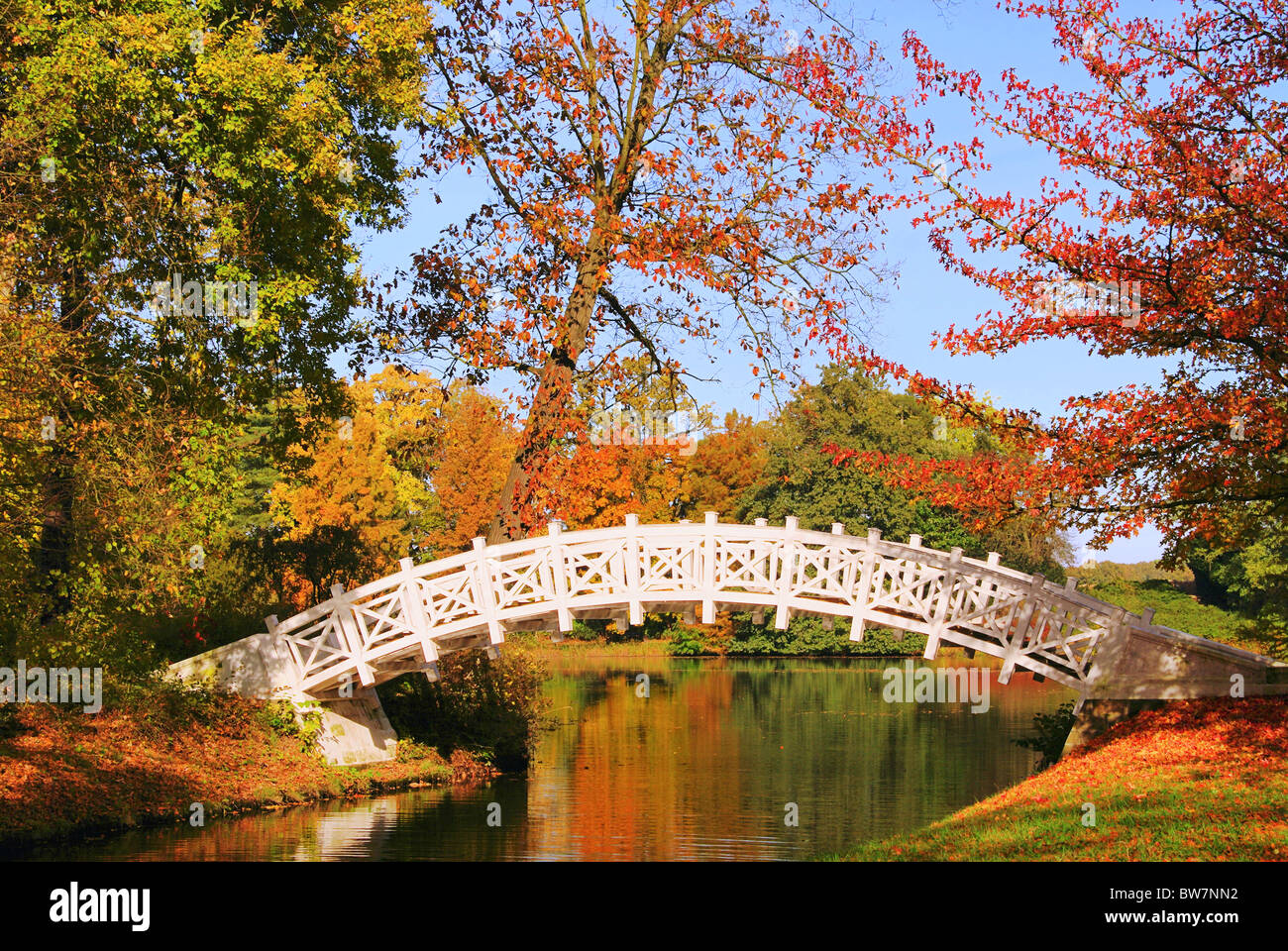Woerlitzer Park Weisse Bruecke englische Garten von Wörlitz weiße
