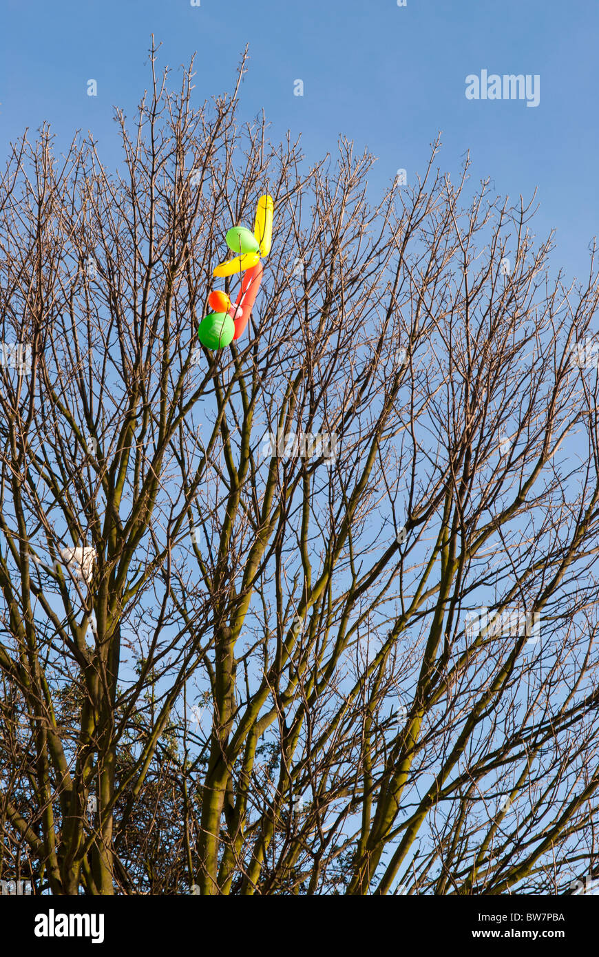 Farbe Baloons gefangen in einem Baum am Kanal in Camden Town, London Stockfoto