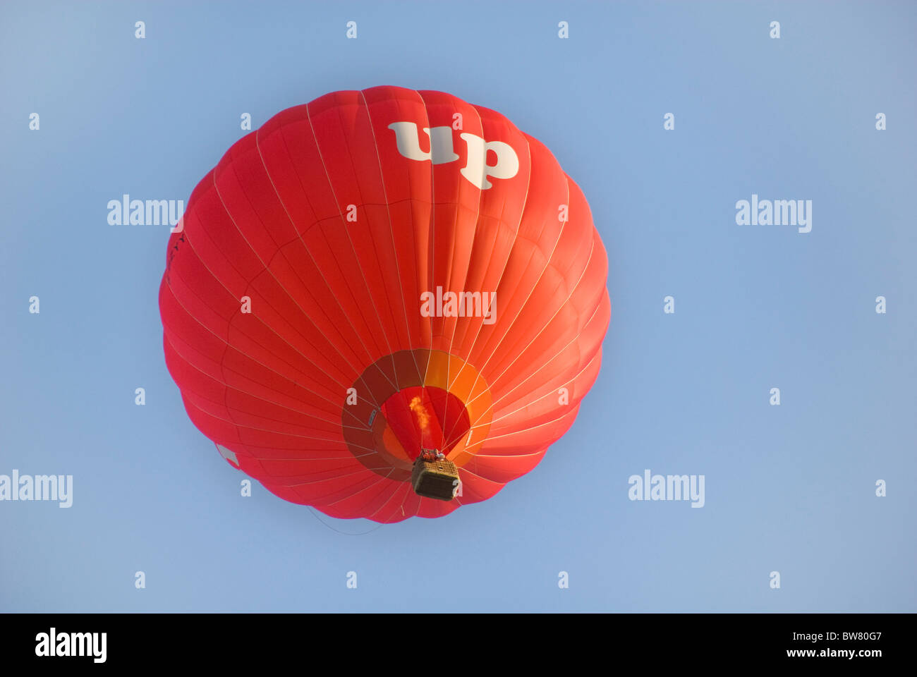 Heißluft-Ballon mit der Aufschrift UP, Bristol, England, Vereinigtes Königreich, Europa Stockfoto