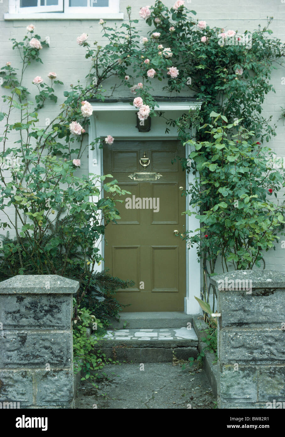 Rosa Kletterrosen über grünen Haustür des traditionellen Hauses Stockfoto