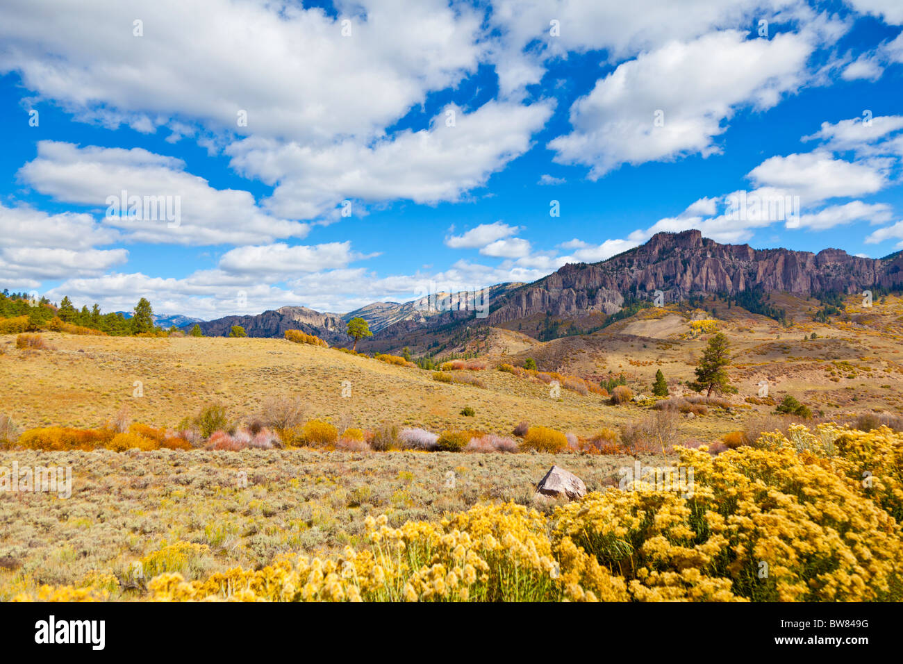 In der Nähe von Gunnison, Colorado, USA, Colorado, The Pinnacles Umgebung Blue Mesa Reservoir. Stockfoto