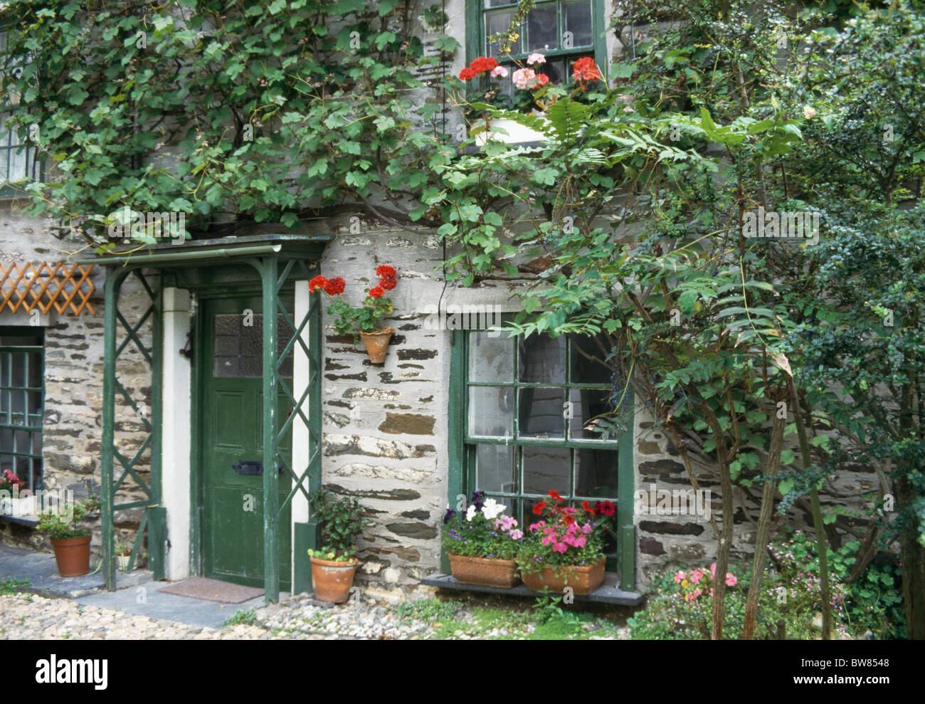 Grün gestrichene Tür und Fenster auf Landhaus mit blühenden Pflanzen in Blumenkästen und Efeu an Wänden klettern Stockfoto