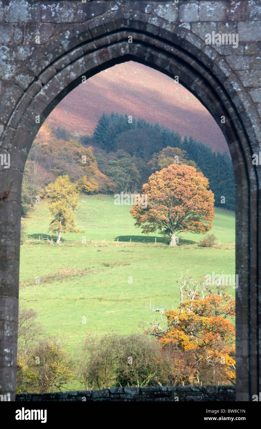 Blick durch den Bogen am Llanthony Priory an Bäumen im Herbst Farbe Monmouthshire South Wales UK Stockfoto