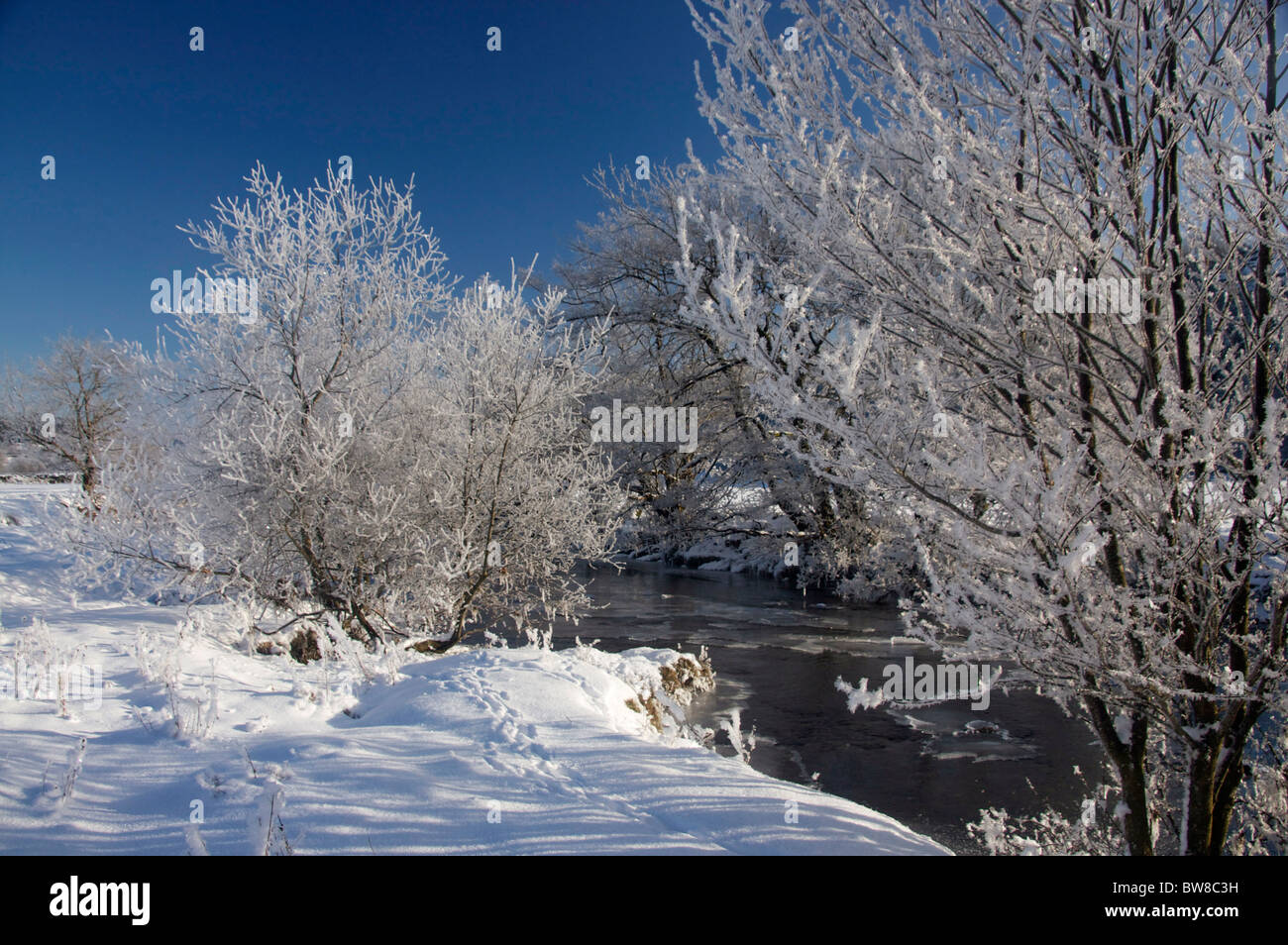 Fluss in der Nähe von Betws-y-Coed in Schnee Winter mit Bäumen bedeckt im Eis / Schnee / frost Conwy Grafschaft North Wales UK Stockfoto