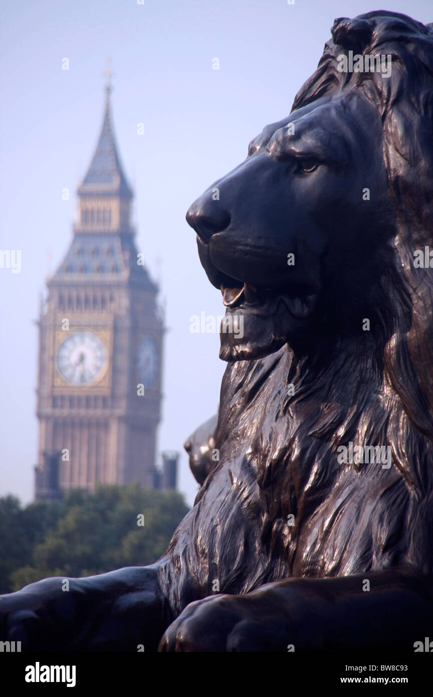 Einer der Edwin Landseers Löwen auf dem Trafalgar Square mit Houses of Parliament Uhrturm (Big Ben) im Hintergrund London England UK Stockfoto
