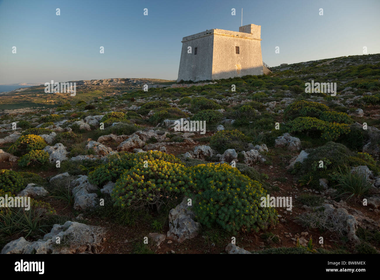 Des Ritters Küsten Turm auf der hohen Klippe am Ta Sopu in Nadur auf Gozo in Malta. Stockfoto