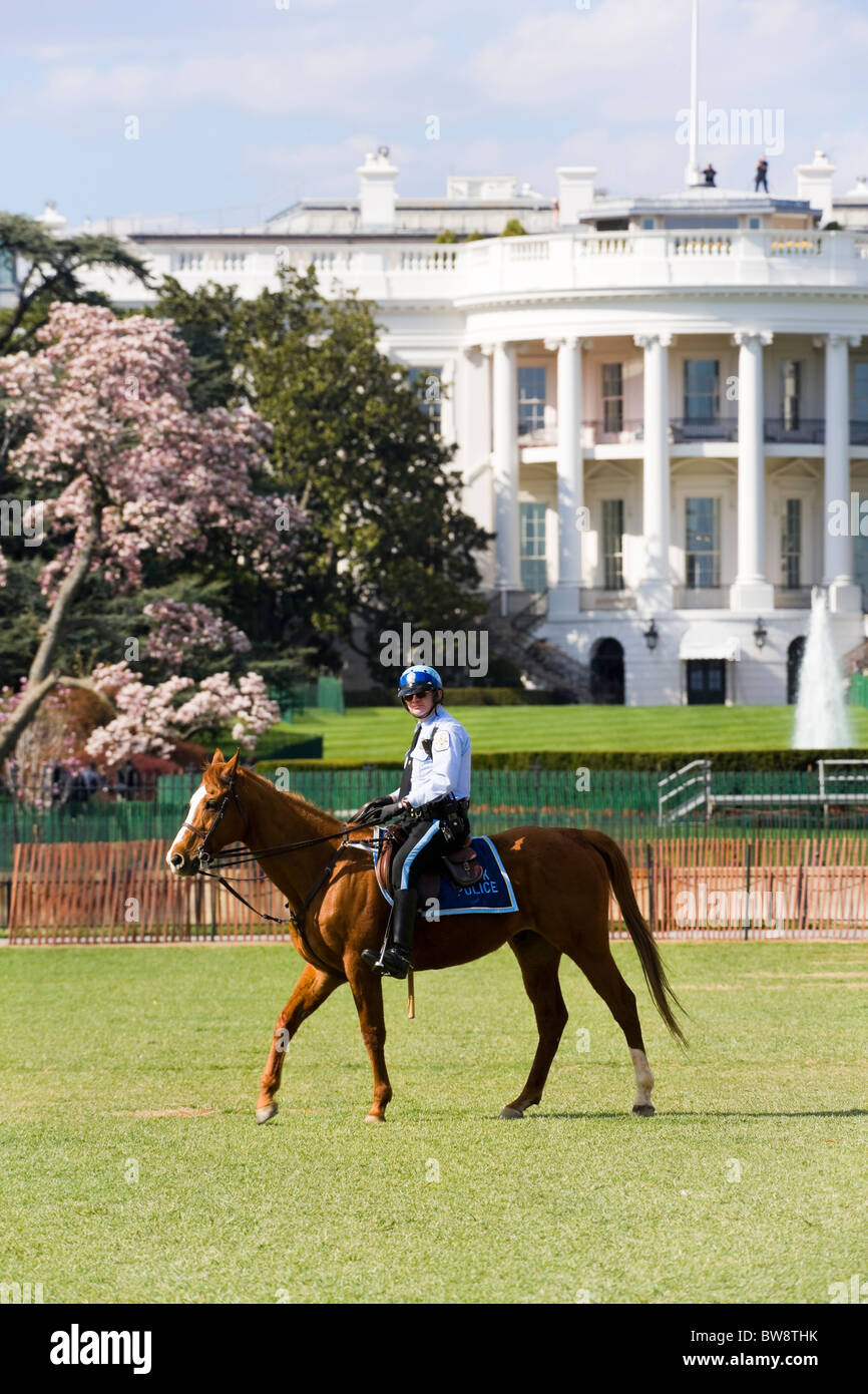 Das weiße Haus, Washington DC. Zwei geheime Service-Männer auf dem Dach. Einen Park montiert Polizisten patrouillieren in den Garten im Frühjahr Stockfoto