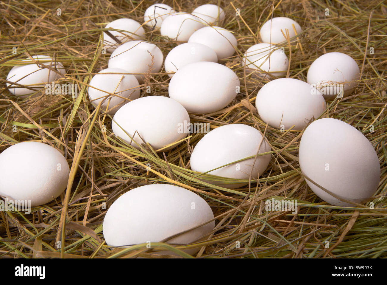 Ostern-Hintergrund viele Eier in trockenem Stroh liegen Stockfoto