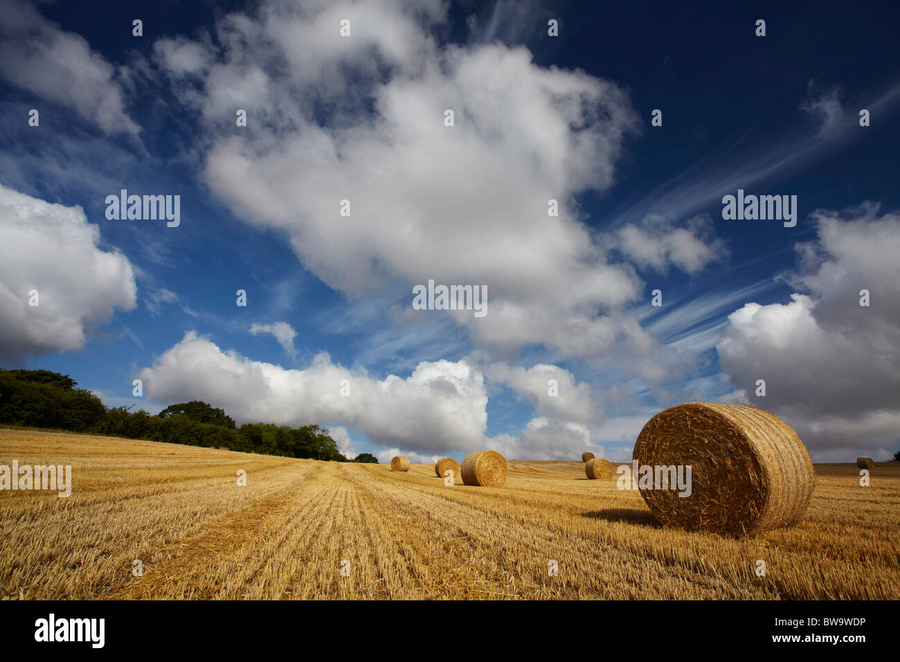 Strohballen, die Sammlung in einem Feld von Norfolk in Erwartung Stockfoto