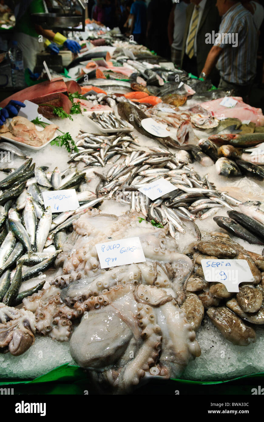 Oktopus, Tintenfisch, Tintenfisch, Sardinen, frische Sardellen und anderen Fisch auf Fisch &amp; Meeresfrüchte stall in La Boqueria-Markt in Barcelona, Spanien Stockfoto