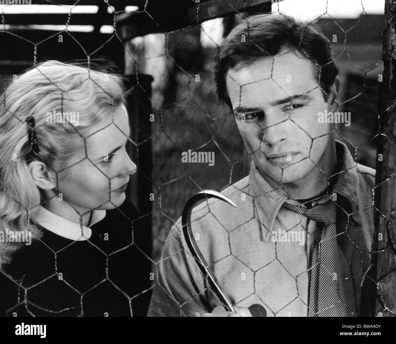 ON THE WATERFRONT 1954 Columbia film mit Eva Marie Saint und Marlon Brando Stockfoto