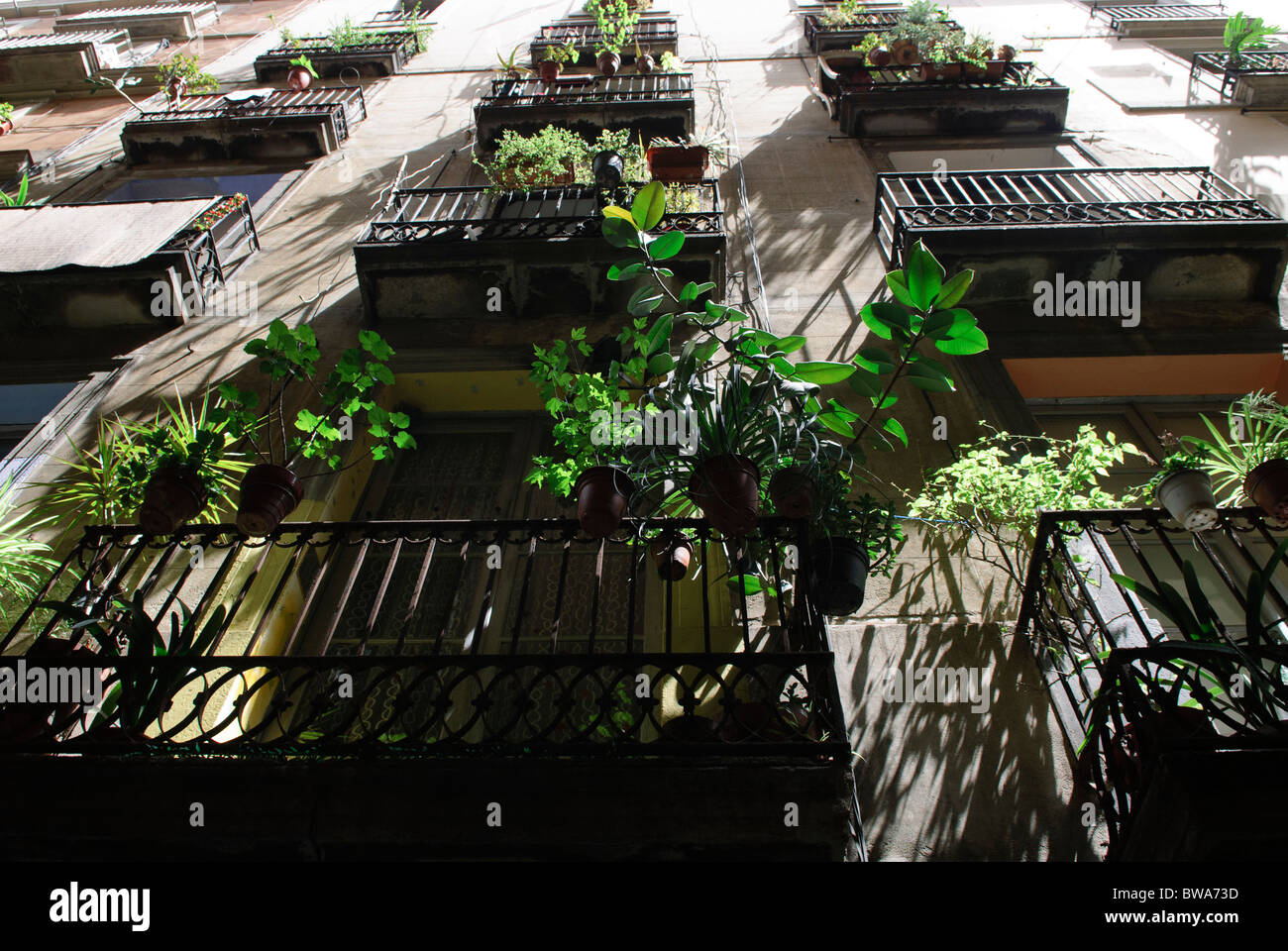 Topfpflanzen auf dem Balkon in Gasse im "Barrio Gotico", die Altstadt von Barcelona, Spanien Stockfoto