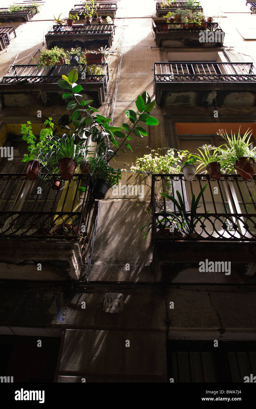 Topfpflanzen auf dem Balkon in Gasse im "Barrio Gotico", die Altstadt von Barcelona, Spanien Stockfoto