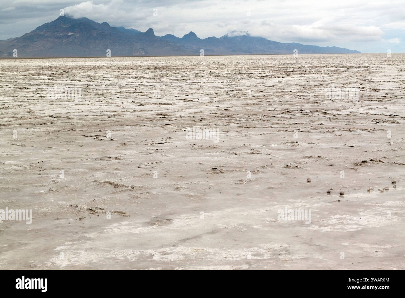 Bonneville Salt Flats in der Nähe von East Wendover, Utah, USA Stockfoto