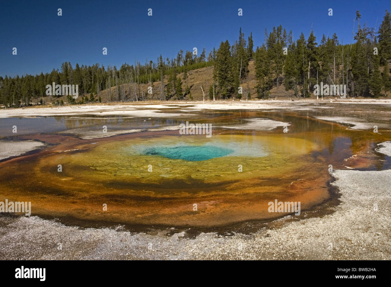 Chromatische Frühling, Upper Geyser Basin, Yellowstone Stockfoto