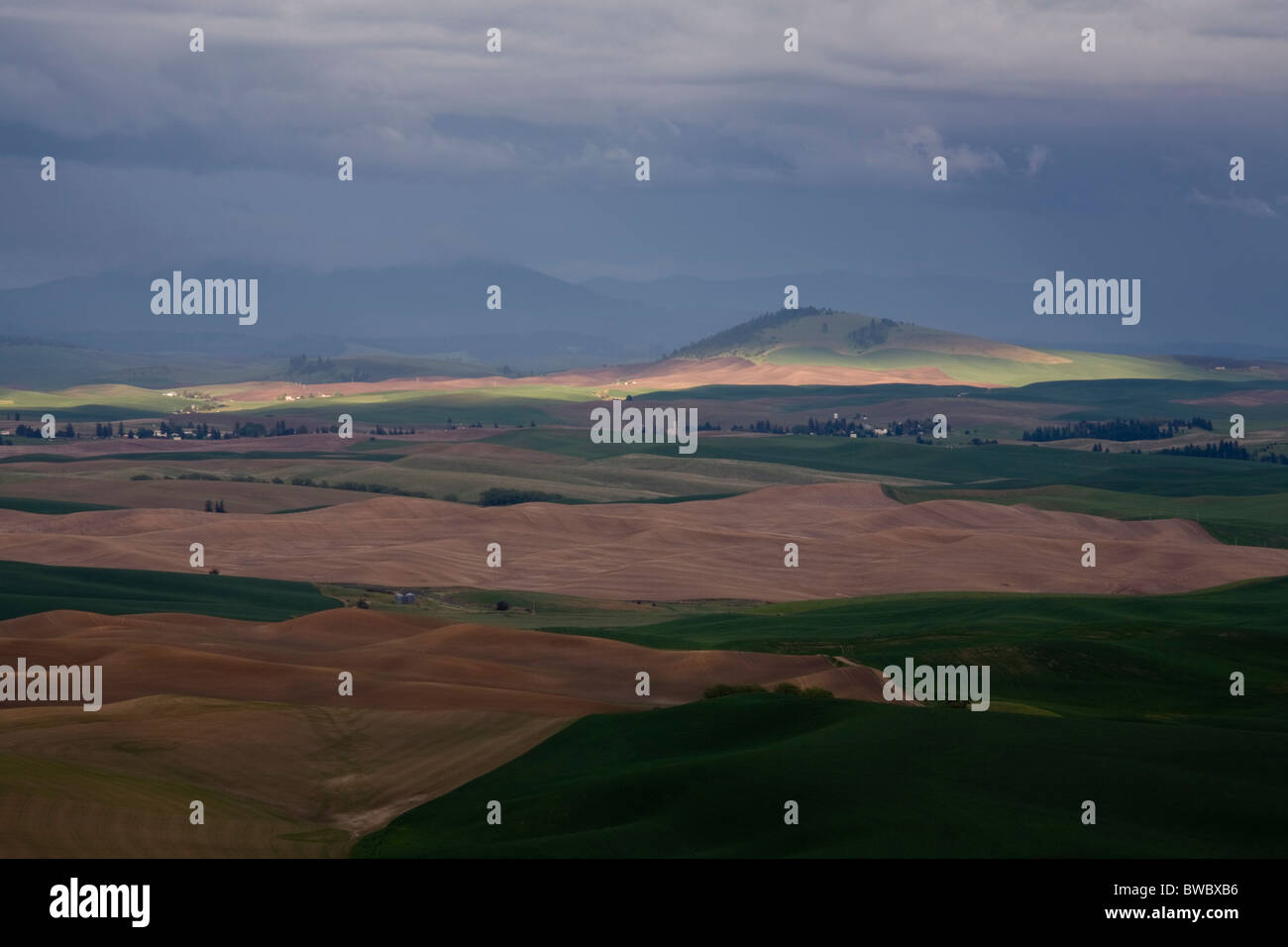 Blick von Steptoe Butte, US-Bundesstaat Washington USA Stockfoto