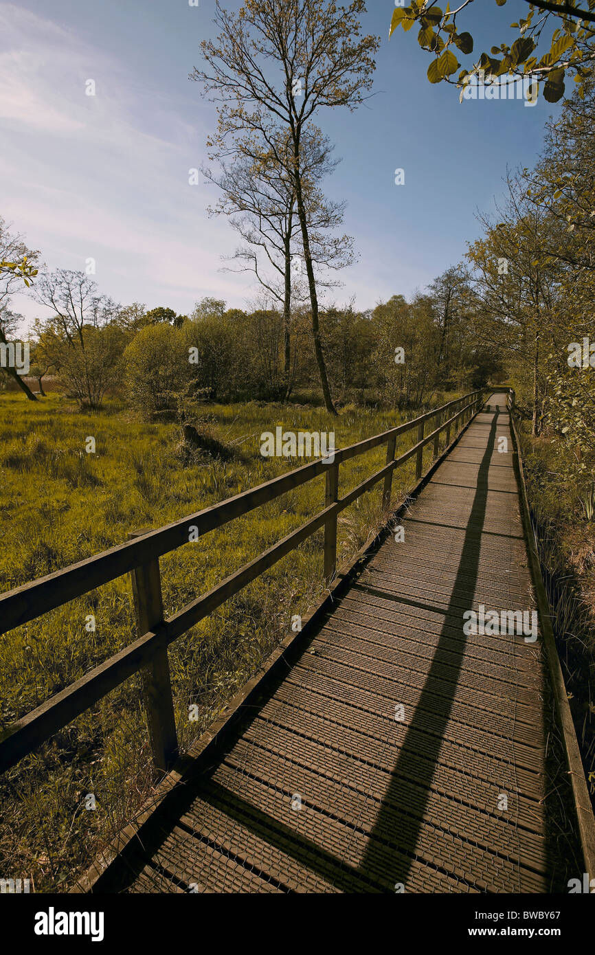 Promenade rund um Askham Moor Naturschutzgebiet verwaltet von der Yorkshire Wildlife Trust York, UK Stockfoto