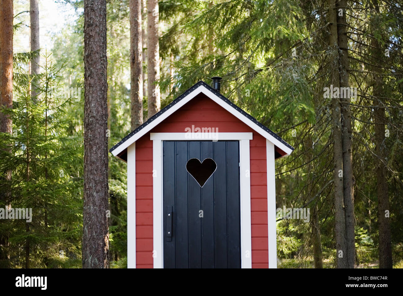 Plumpsklo im Wald Stockfoto