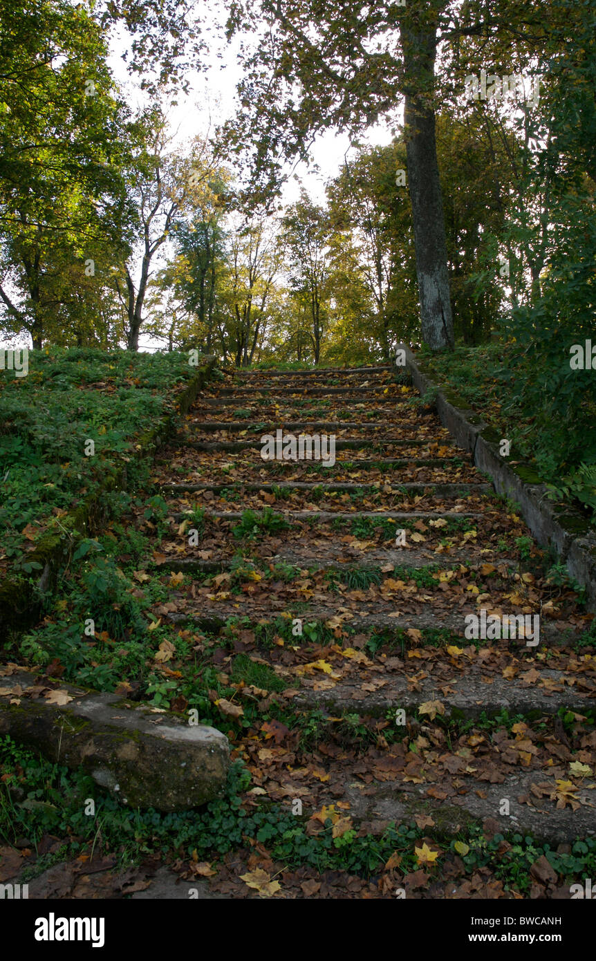 Treppe ins nichts vor allem auf das Gelände rund um Trakai. Stockfoto