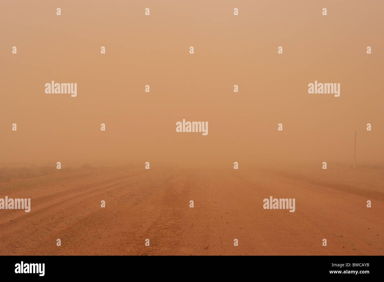 Sandsturm in die australische Wüste, über die Landschaft und in ihm mit feinen roten Staub Stockfoto