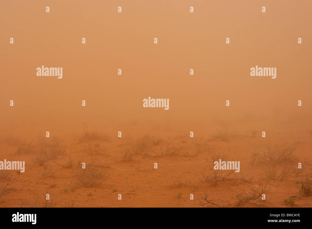 Sandsturm in die australische Wüste, über die Landschaft und in ihm mit feinen roten Staub Stockfoto