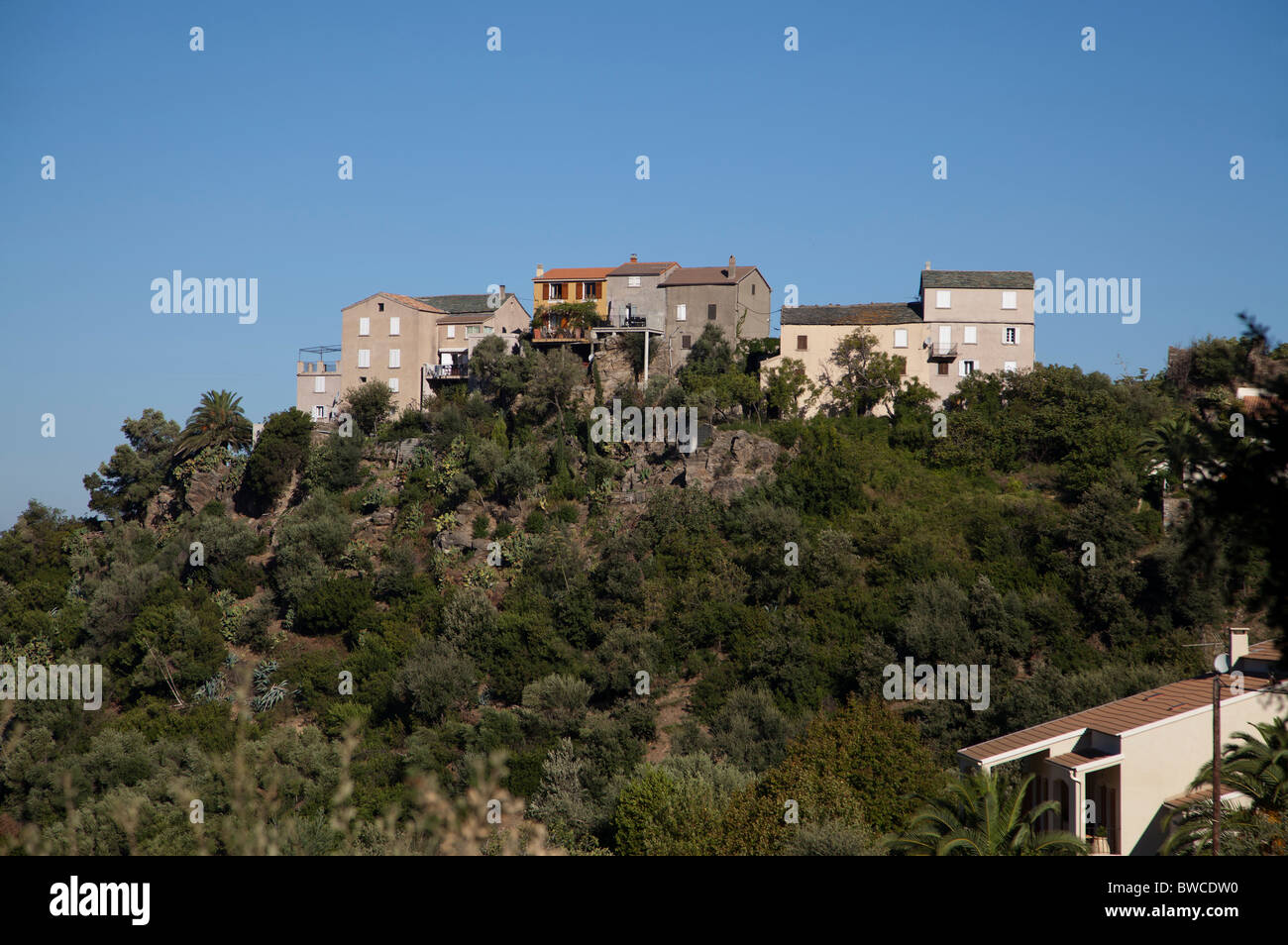 Alte Häuser in Poggio d'Oletta Corsica Stockfoto