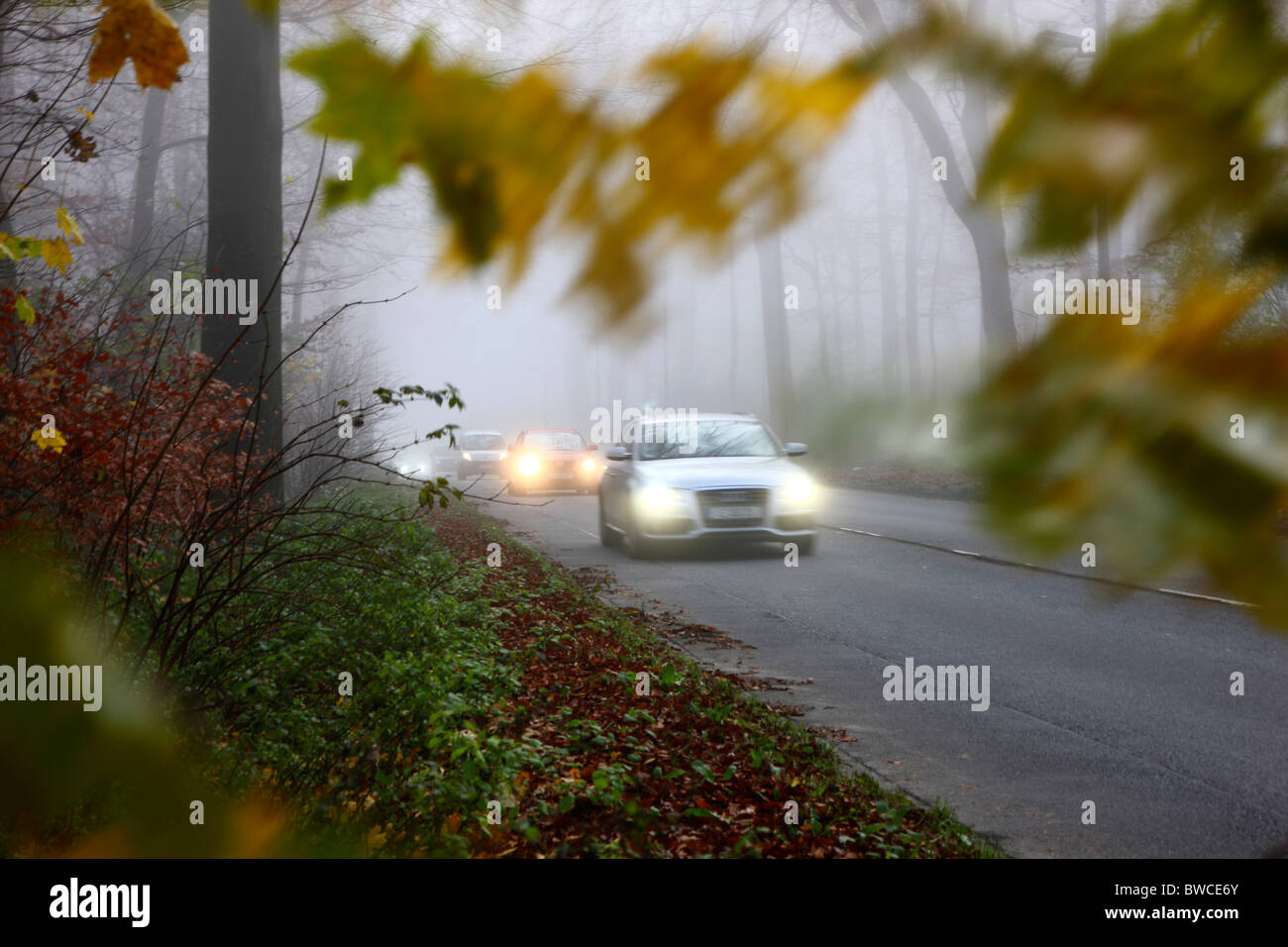 Herbst, dicker Nebel, schlechter Sicht auf einer Straße. Essen, Deutschland. Stockfoto