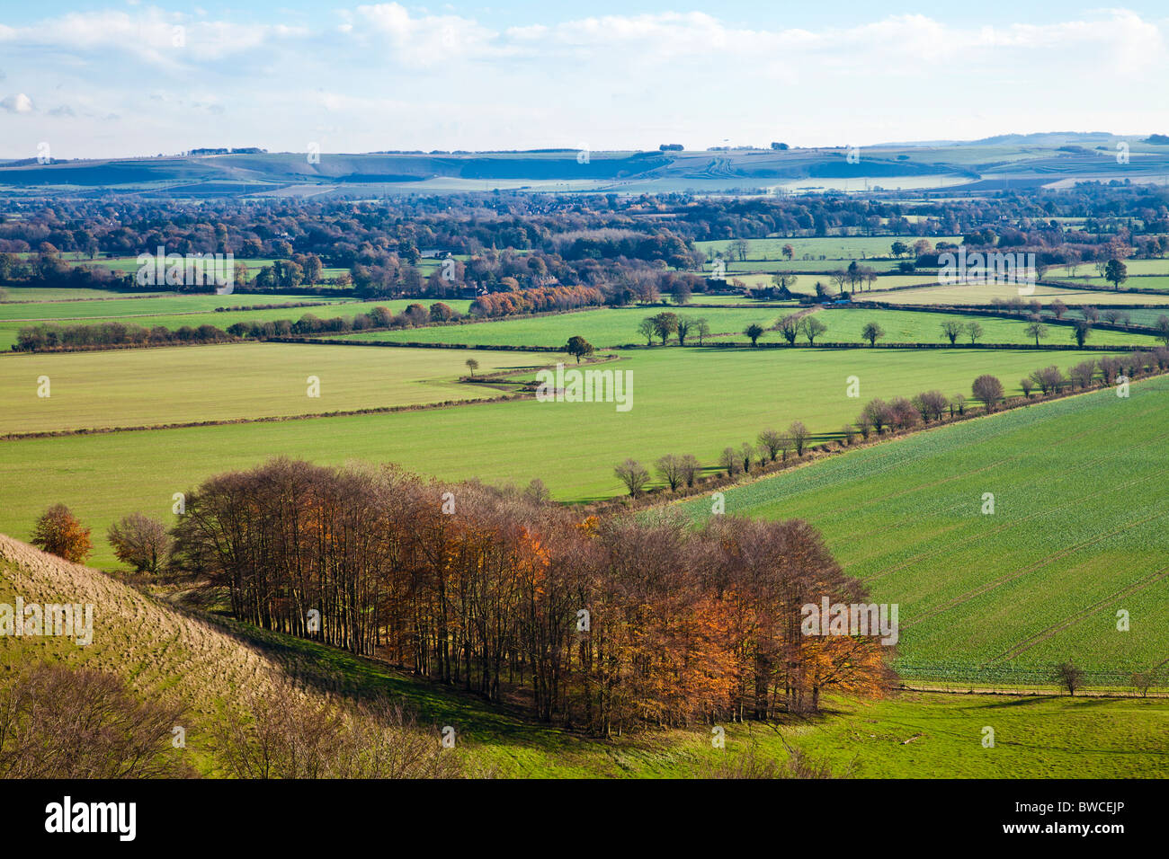 Ein Spätherbst Blick vom Hügel Knapp über Vale of Pewsey in Wiltshire, England, UK Stockfoto